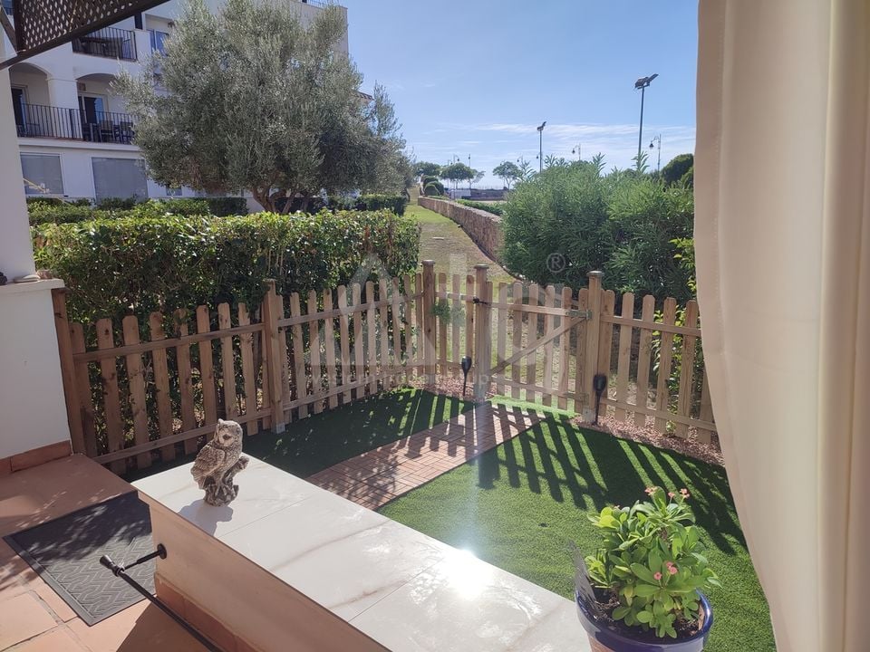 2 bedroom Apartment in Sucina - PSP158520 - Photo - 4