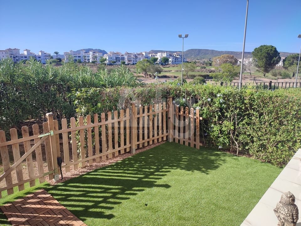 2 bedroom Apartment in Sucina - PSP158520 - Photo - 5