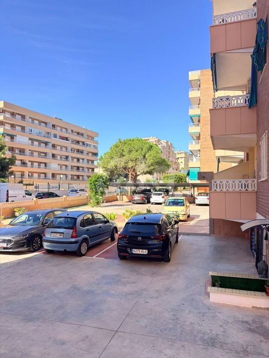 2 bedroom Apartment in Punta Prima - LR158707 - Photo - 10