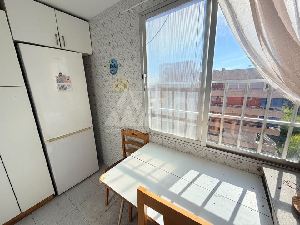 Appartement de 3 chambres à Punta Prima - LR158717 - Photo - 5