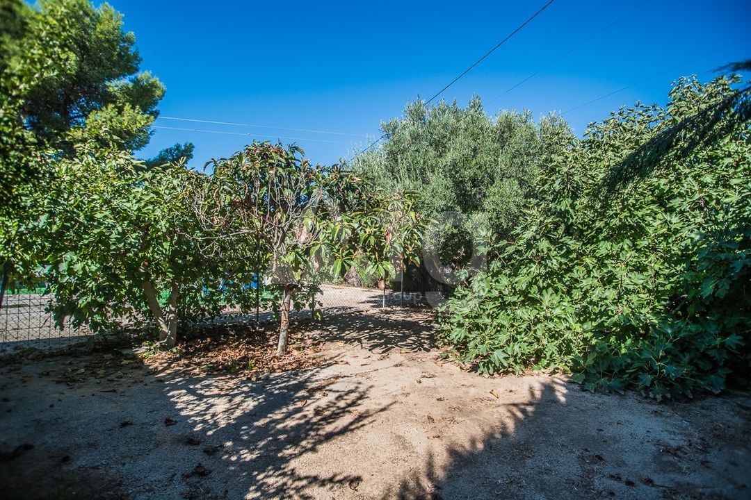 4 bedroom Townhouse in Orihuela - GS158782 - Photo - 20