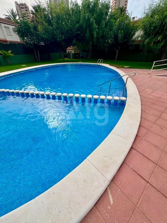 2 bedroom Apartment in Benidorm - SSL158918 - Photo - 17