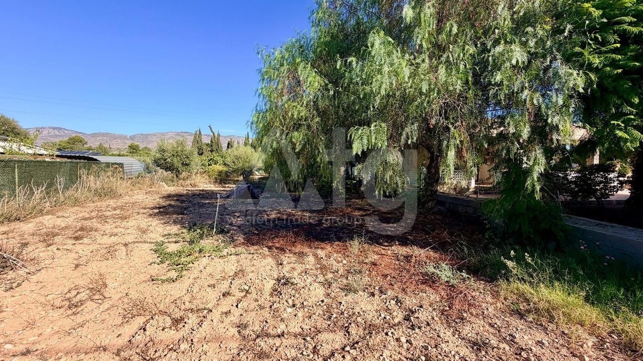 4 bedroom Villa in Crevillente - BCH158958 - Photo - 25