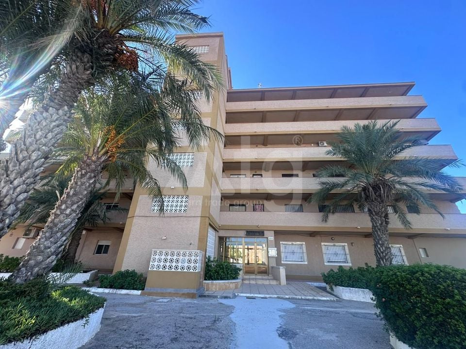 1 bedroom Apartment in La Mata - GVS159009 - Photo - 1