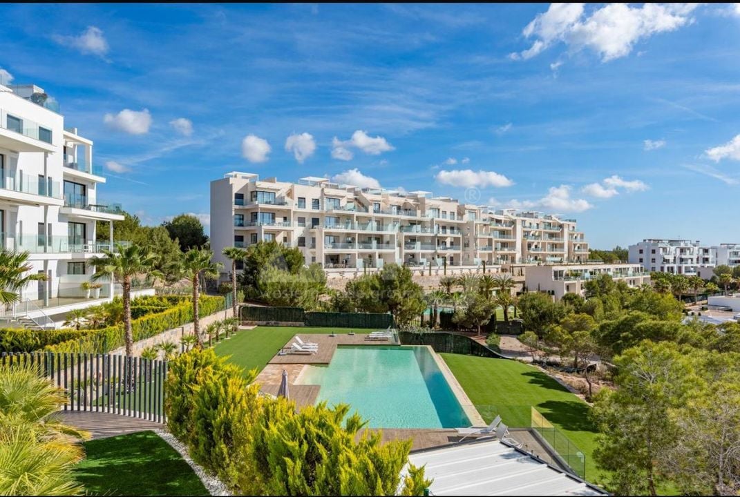 2 bedroom Apartment in Orihuela Costa - GSM159238 - Photo - 30