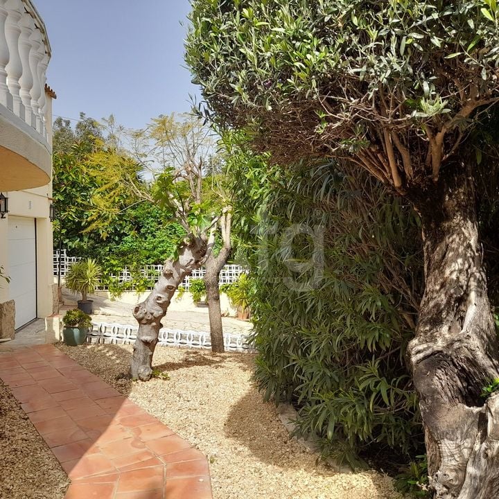 6 bedroom Villa in Orba - TPT159331 - Photo - 22