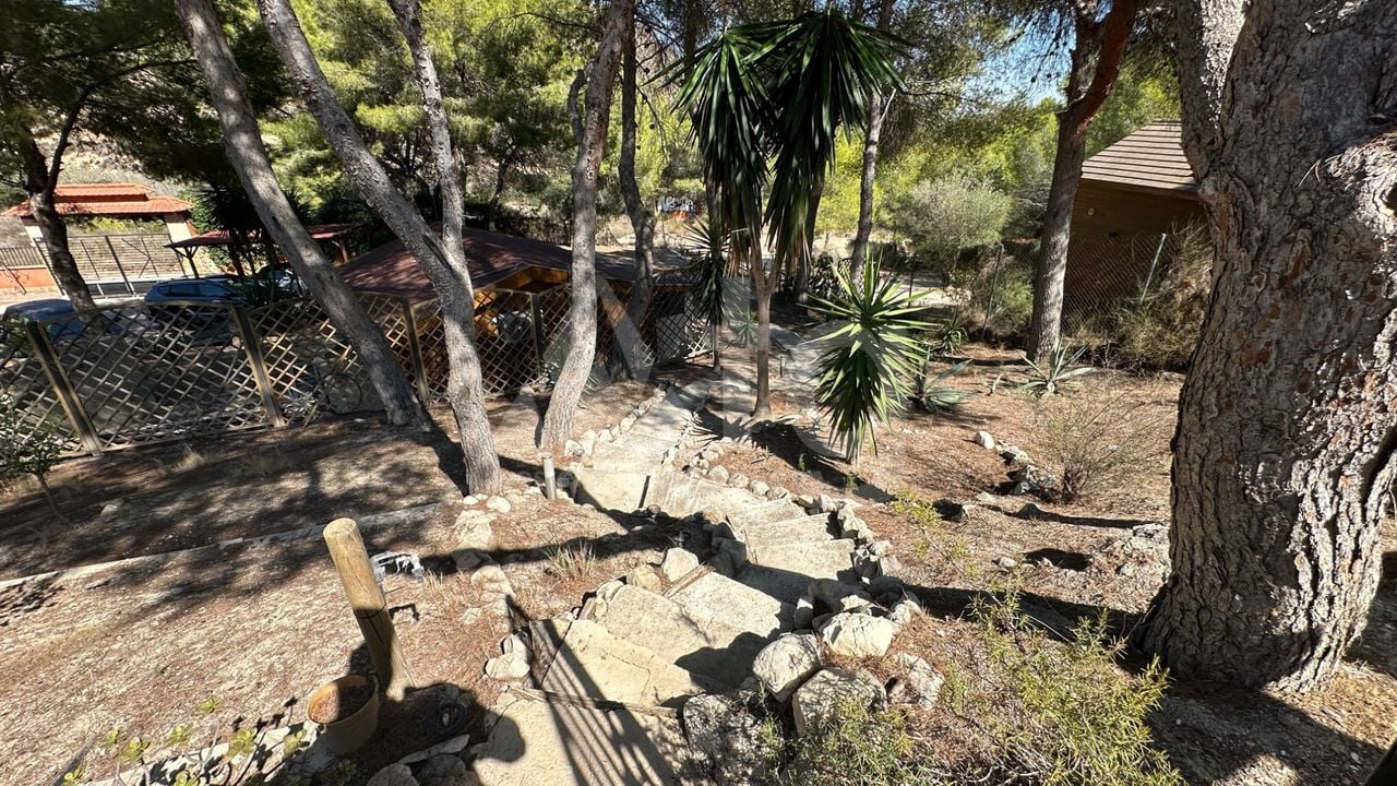 Villa de 3 chambres à San Miguel de Salinas - RCJ159526 - Photo - 33
