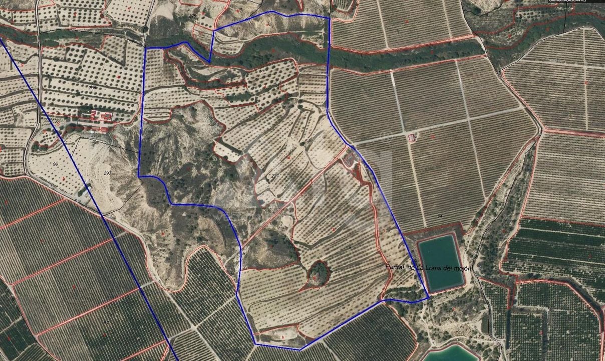  Plot in Torremendo- ERD159684 - Photo - 5