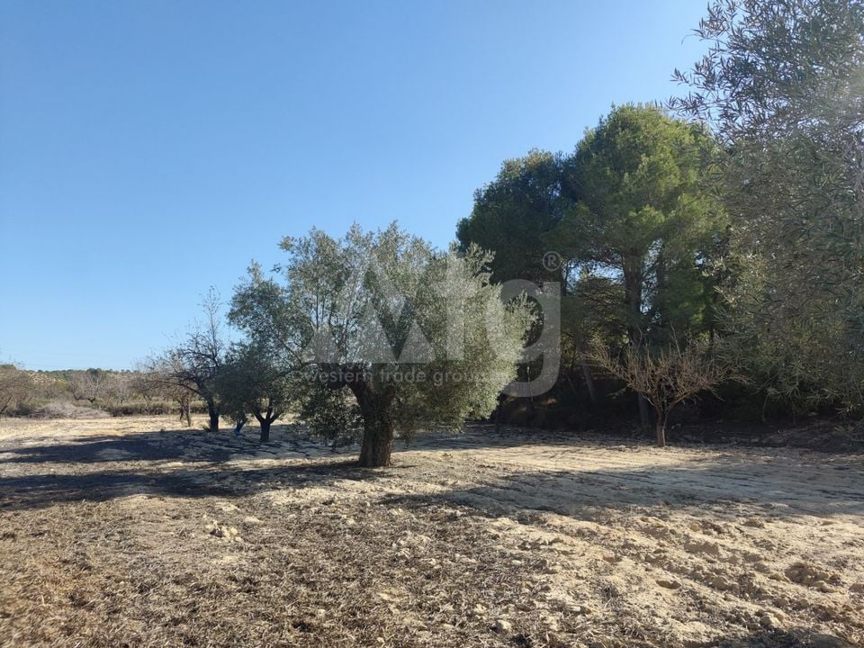 Plot in Torremendo- ERD159684 - Photo - 1