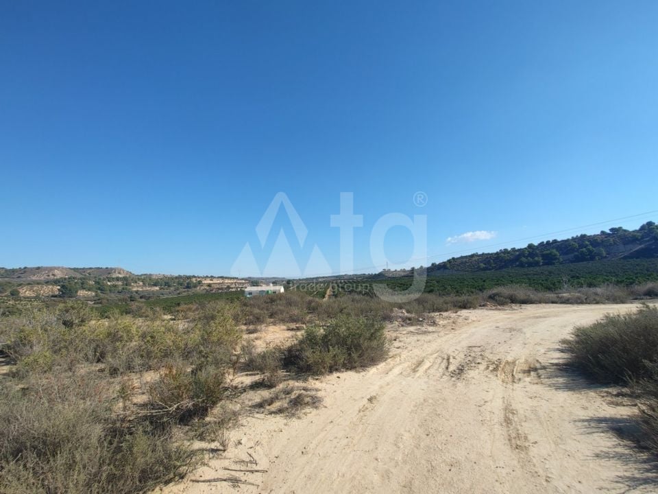  Plot in Torremendo- ERD159684 - Photo - 2