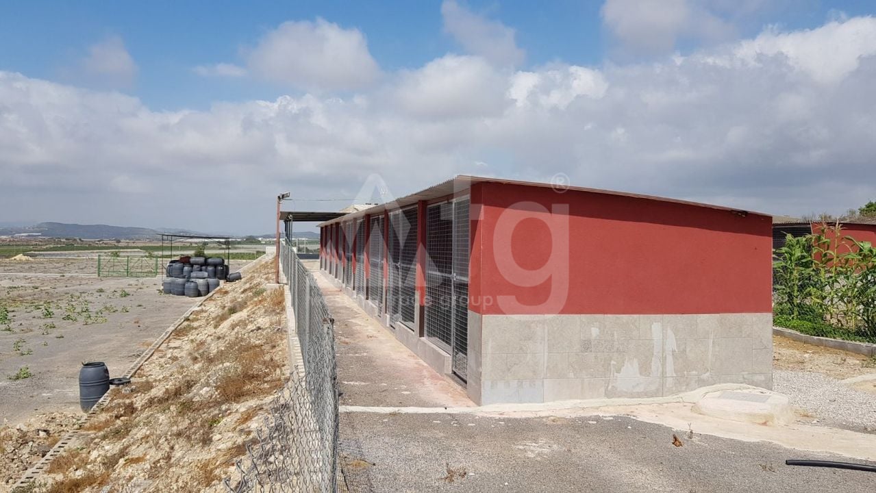 Pozemek   v Los Montesinos, - ERD159689 - Foto - 14