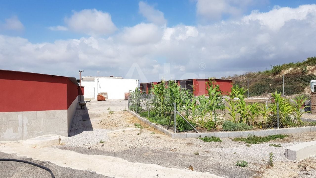 Pozemek   v Los Montesinos, - ERD159689 - Foto - 17