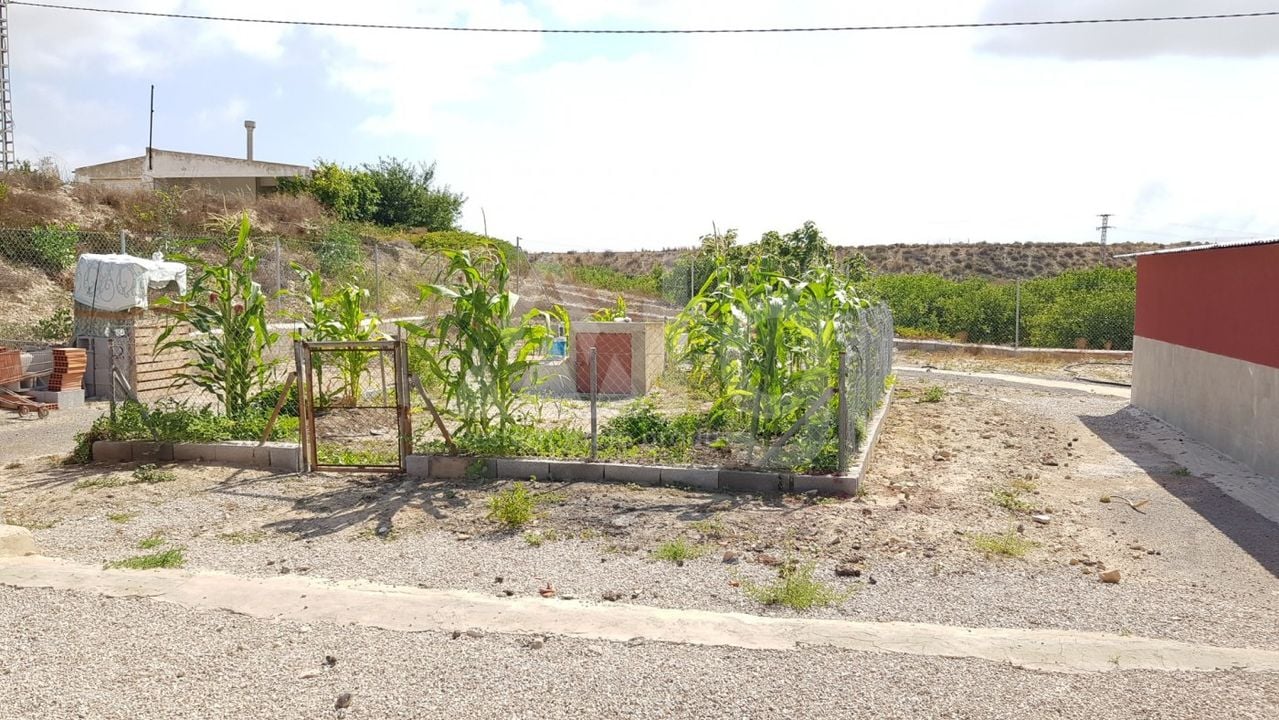 Pozemek   v Los Montesinos, - ERD159689 - Foto - 18