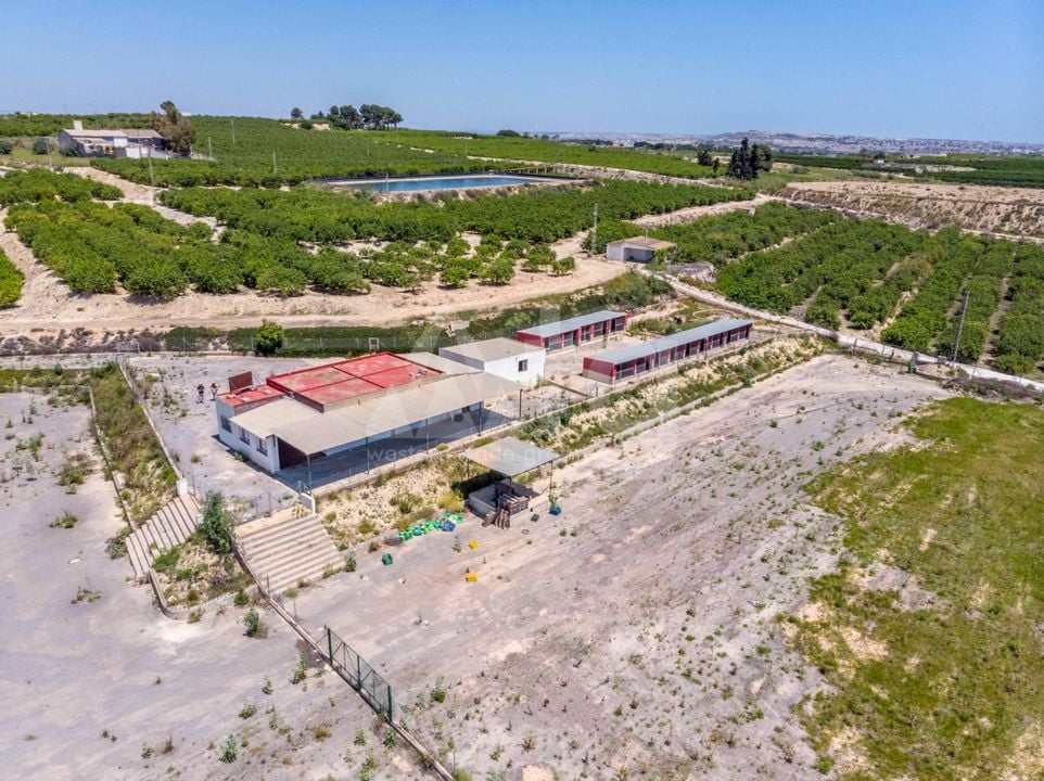 Pozemek   v Los Montesinos, - ERD159689 - Foto - 31