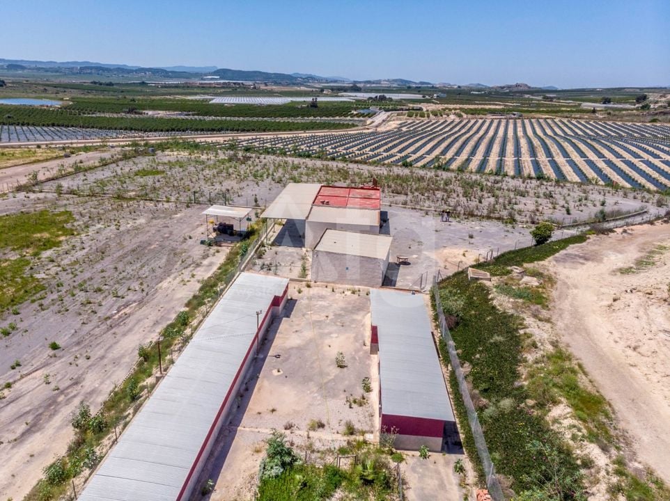 Pozemek   v Los Montesinos, - ERD159689 - Foto - 32