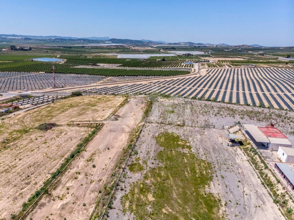 Pozemek   v Los Montesinos, - ERD159689 - Foto - 36