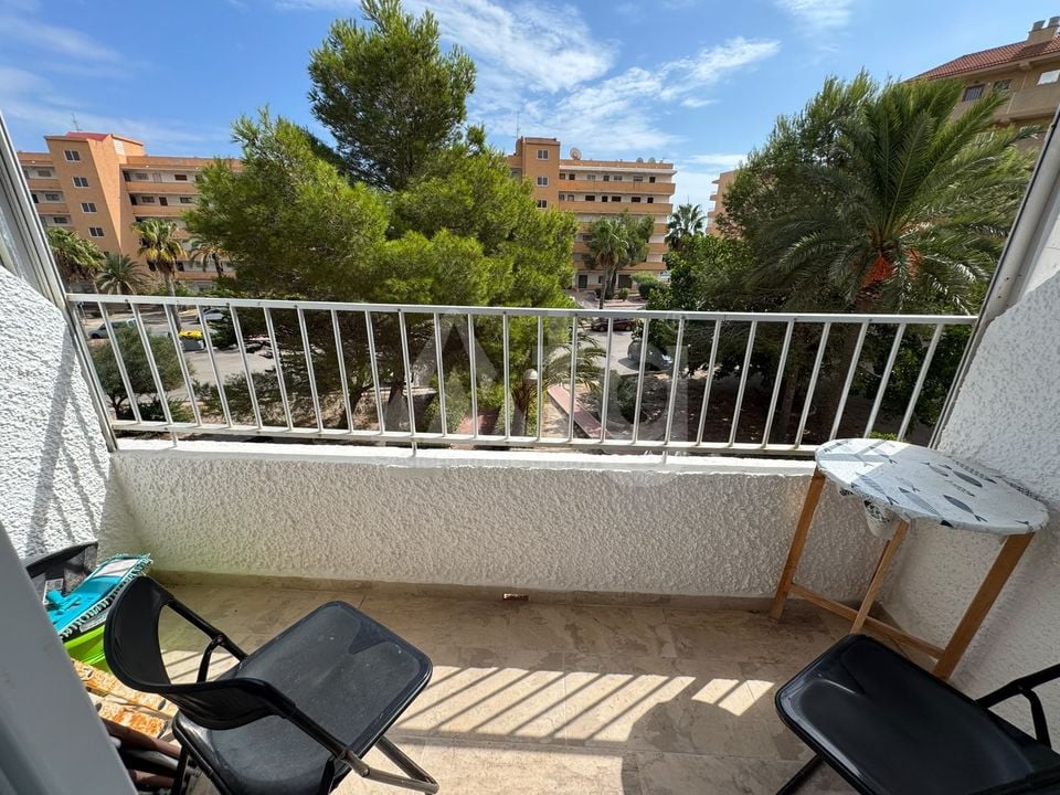 1 Schlafzimmer Appartement in Guardamar del Segura - NSP159800 - Foto - 7