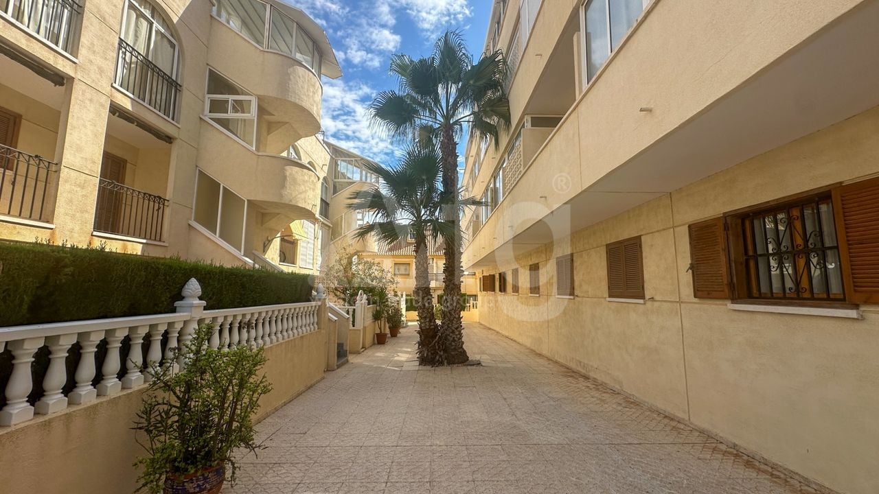 Apartament cu 2 dormitoare în La Zenia - RCJ159801 - Imagini - 22