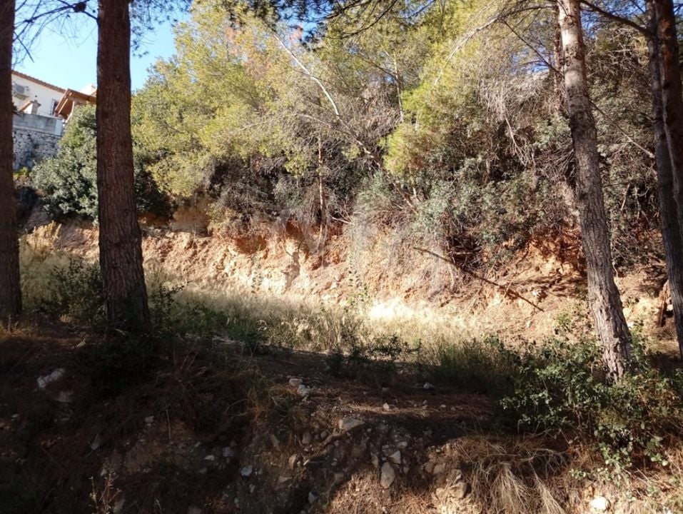 Telek Calpe, - BVS159847 - Fénykép - 2