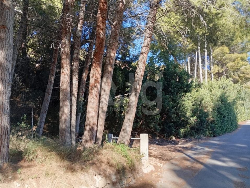 Telek Calpe, - BVS159847 - Fénykép - 3