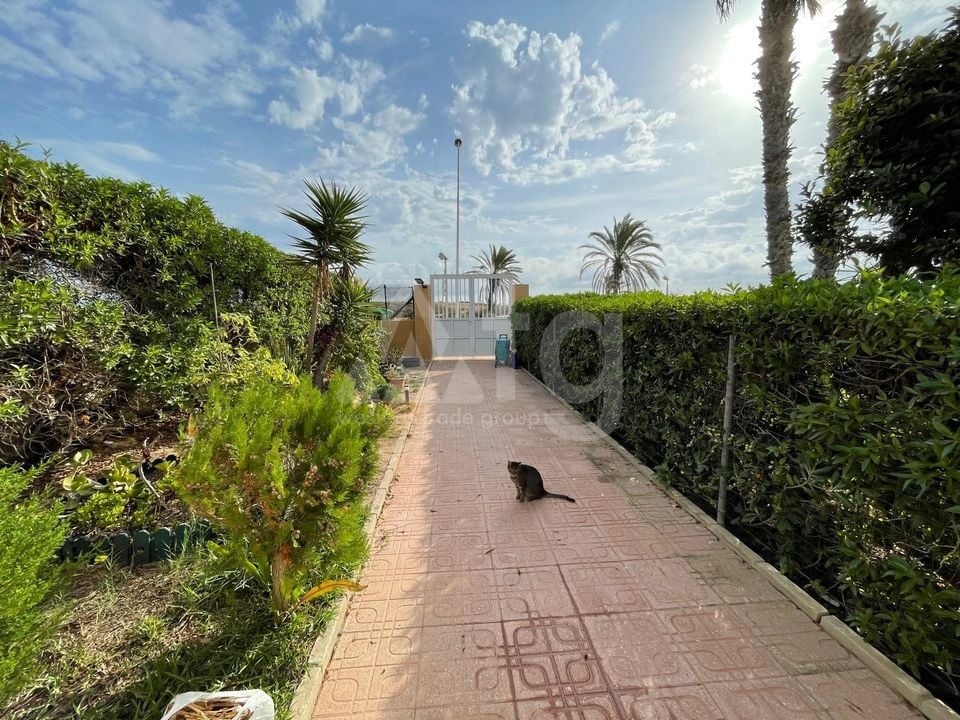 Вилла в Торревьехе, 2 спальни - PPS160146 - Фото - 20
