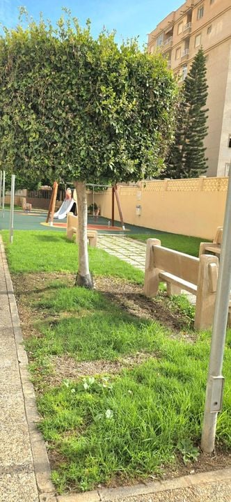 2 bedroom Apartment in Torrevieja - VEC160437 - Photo - 15