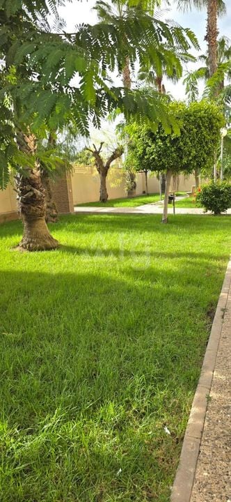 2 bedroom Apartment in Torrevieja - VEC160437 - Photo - 16