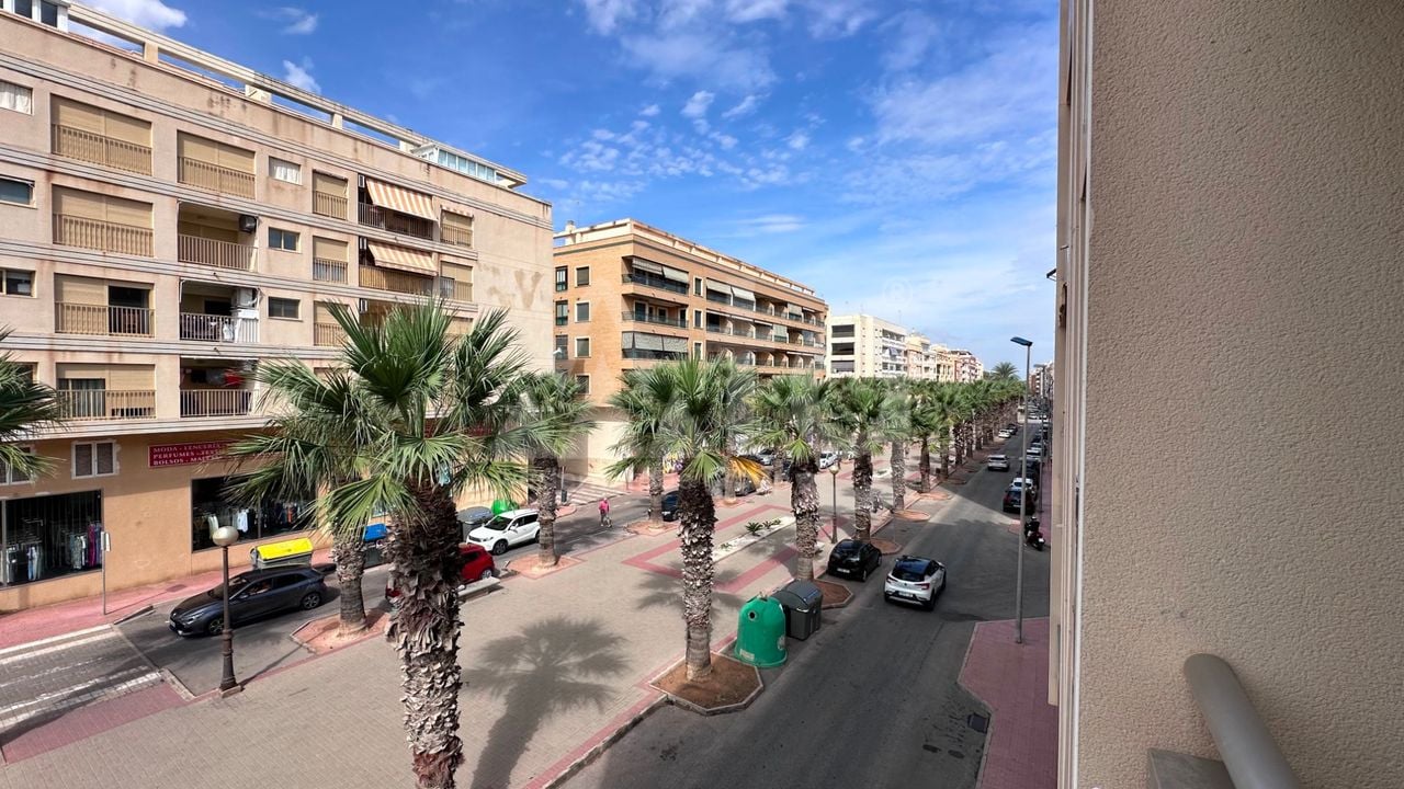 2 bedroom Apartment in Guardamar del Segura - NSP160440 - Photo - 14