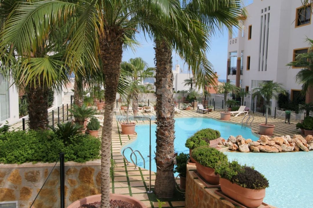 2 bedroom Apartment in Guardamar del Segura - NSP160706 - Photo - 19