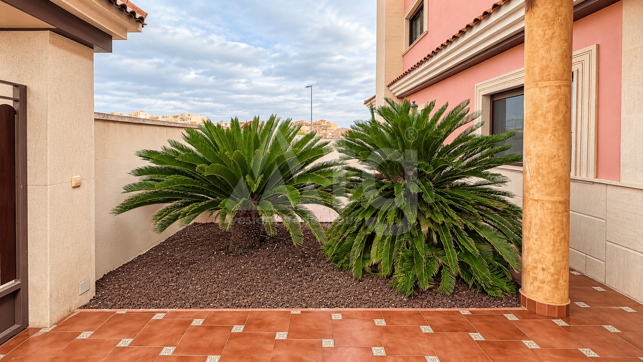 Villa de 5 chambres à San Miguel de Salinas - TT160754 - Photo - 40