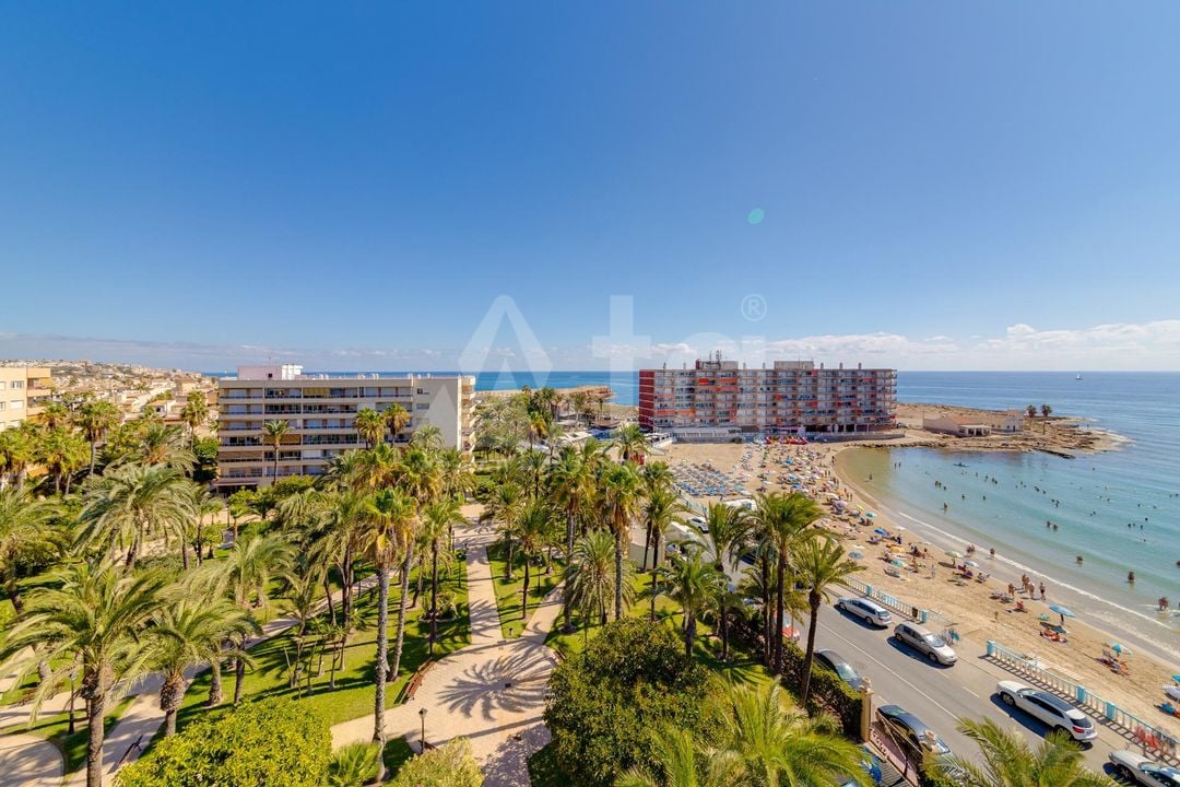 3 bedroom Apartment in Torrevieja - CYM160890 - Photo - 36