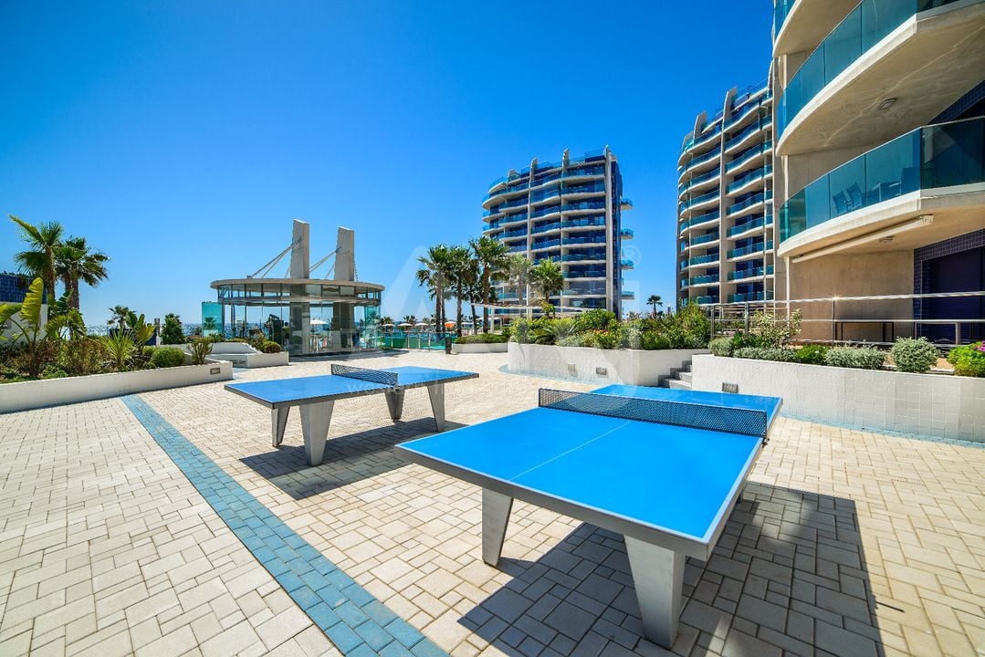 Penthouse de 2 chambres à Torrevieja - B119651 - Photo - 47