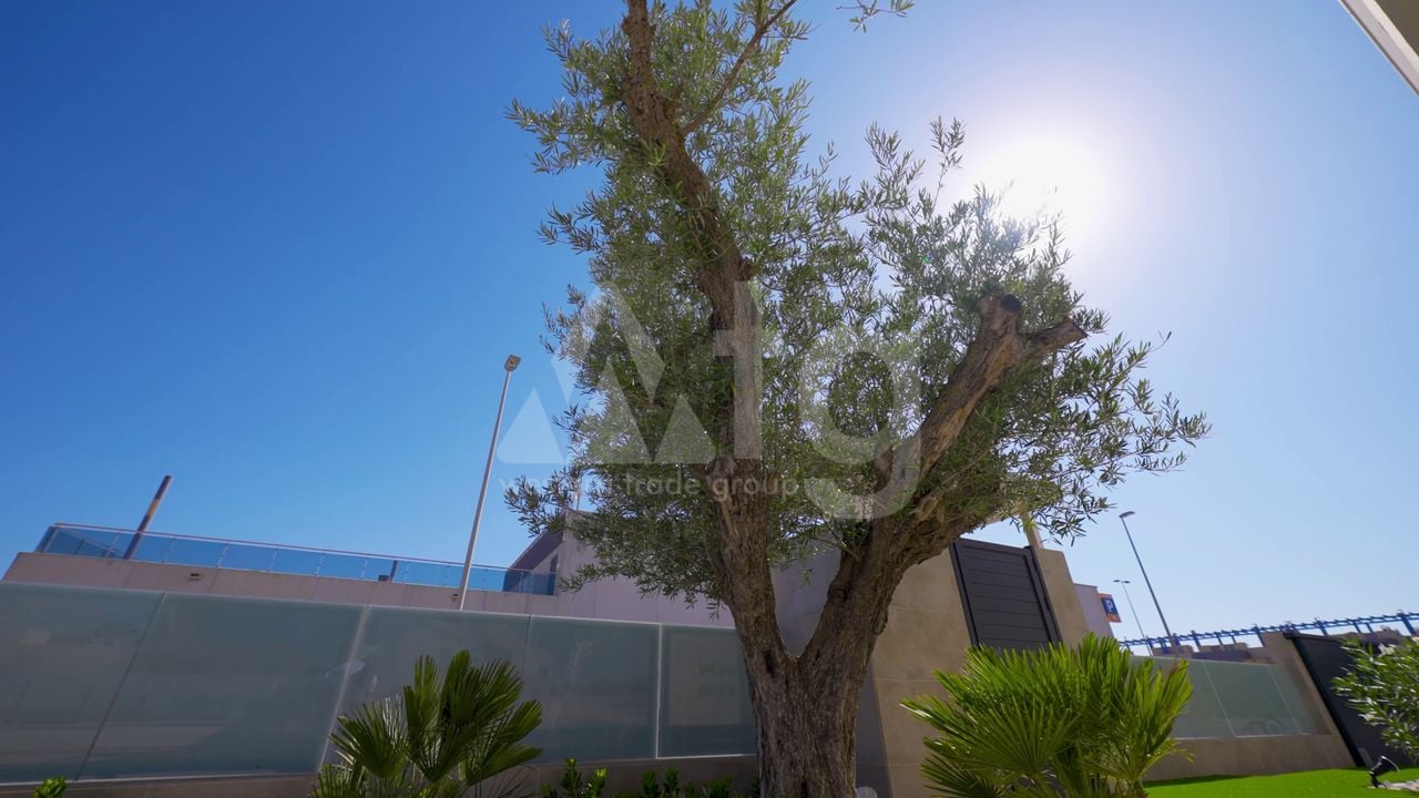 Villa de 3 chambres à Dehesa de Campoamor - AGI40768 - Photo - 13