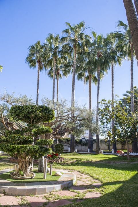 5 bedroom Villa in San Pedro del Pinatar - RP44258 - Photo - 70