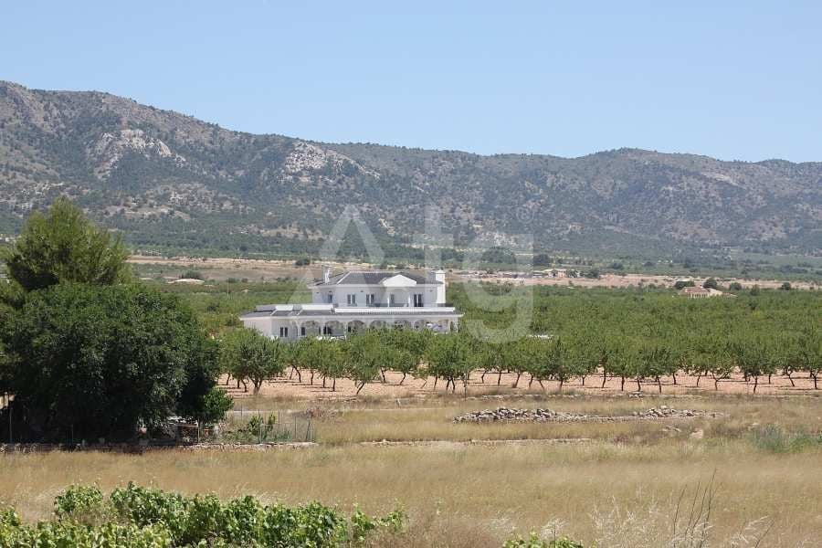 5 bedroom Villa in Pinoso - LYCP47008 - Photo - 16