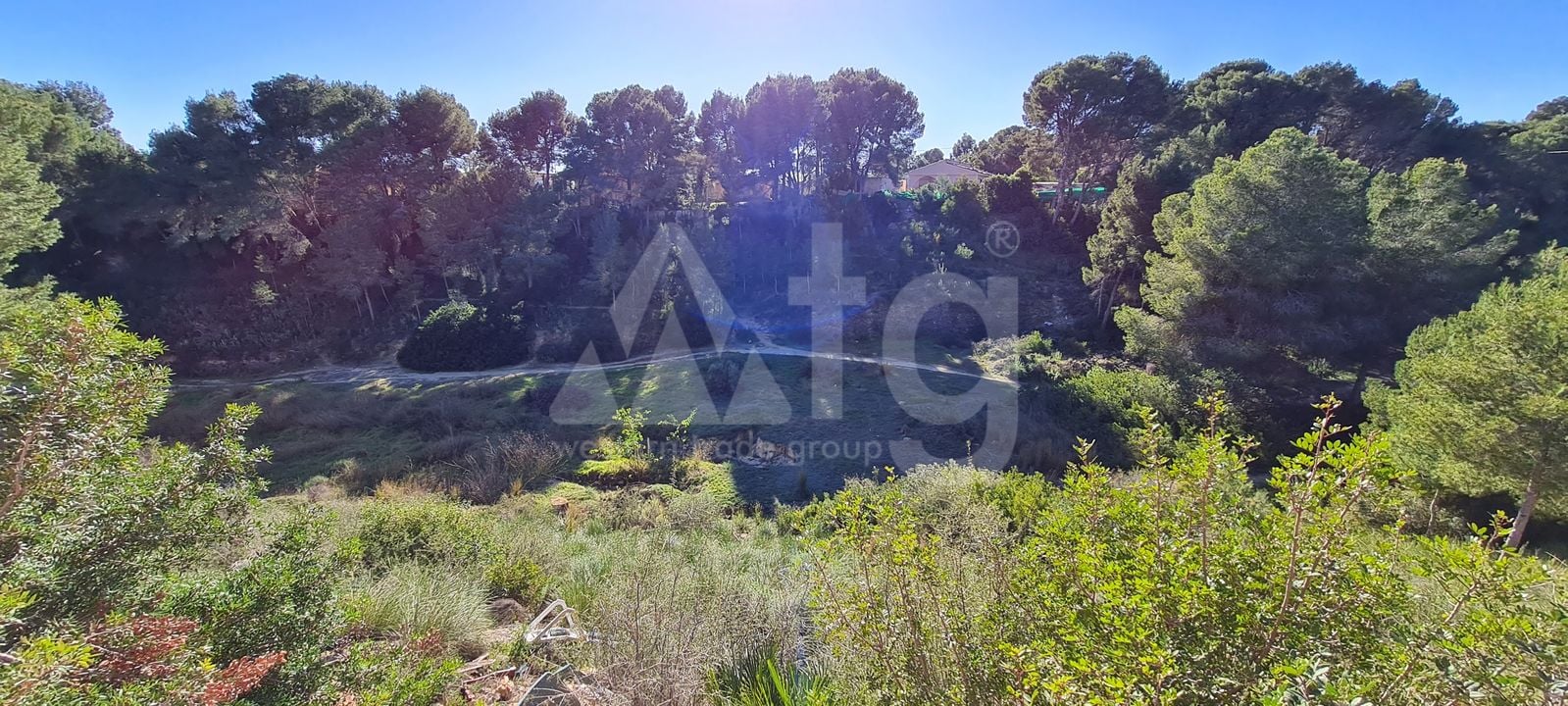 Villa de 3 chambres à Pinar de Campoverde - MT57405 - Photo - 4