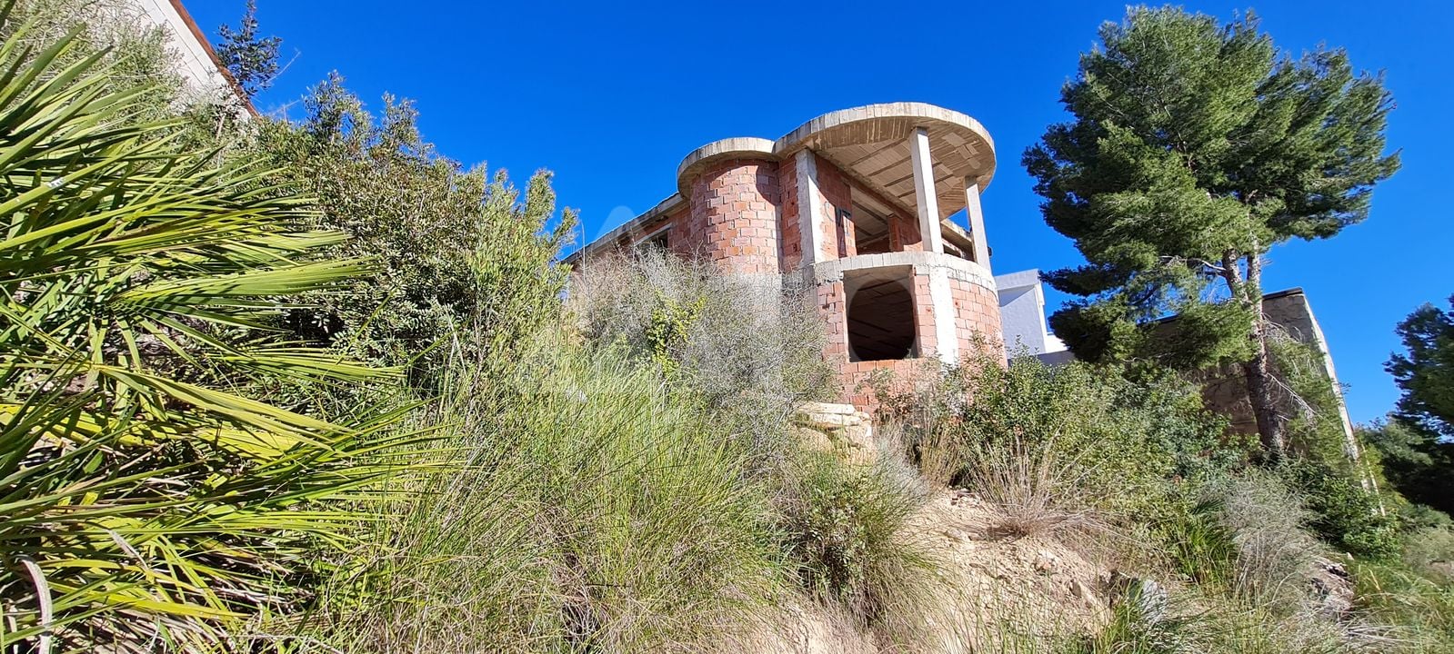 Villa de 3 chambres à Pinar de Campoverde - MT57405 - Photo - 3