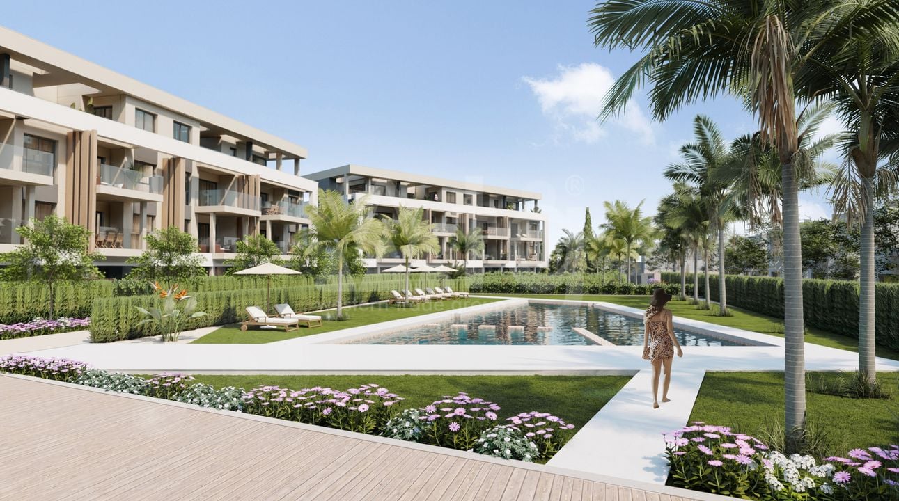 Penthouse cu 3 dormitoare în Santa Rosalia - TN99623 - Imagini - 1