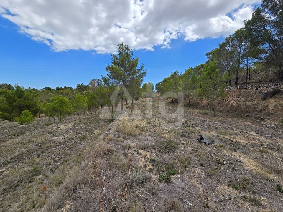  Plot in La Nucia- PX57502 - Photo - 5