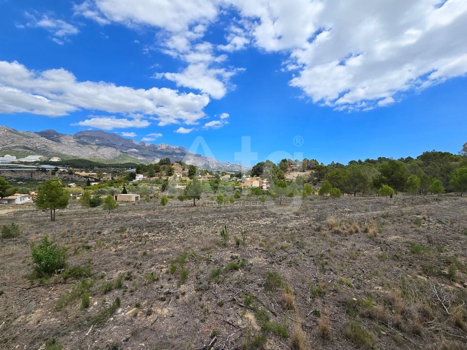  Plot in La Nucia- PX57502 - Photo - 6