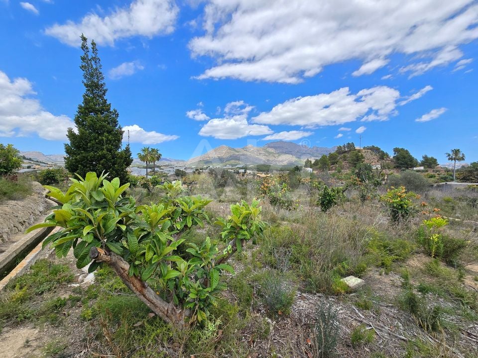  Plot in La Nucia- PX57502 - Photo - 7