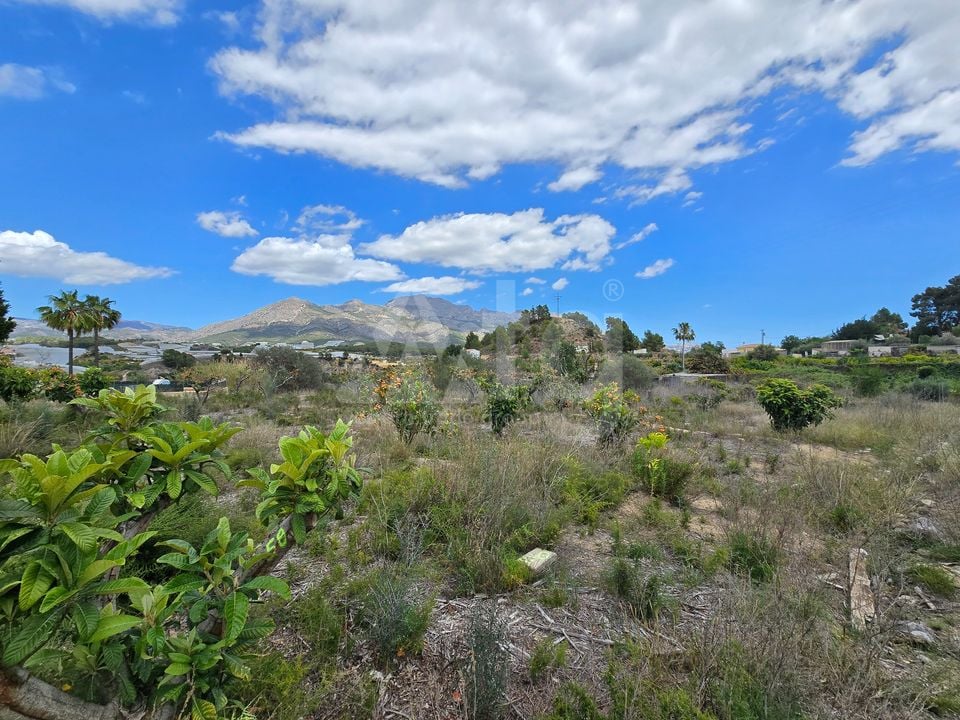  Plot in La Nucia- PX57502 - Photo - 8