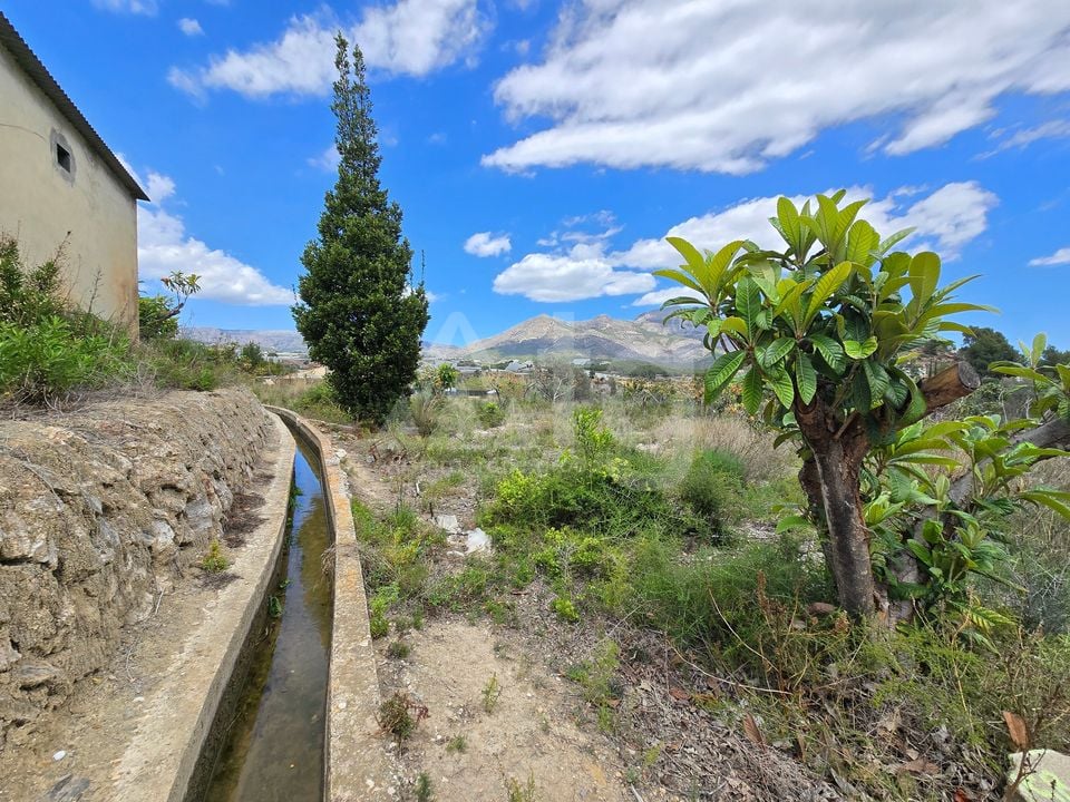  Plot in La Nucia- PX57502 - Photo - 9