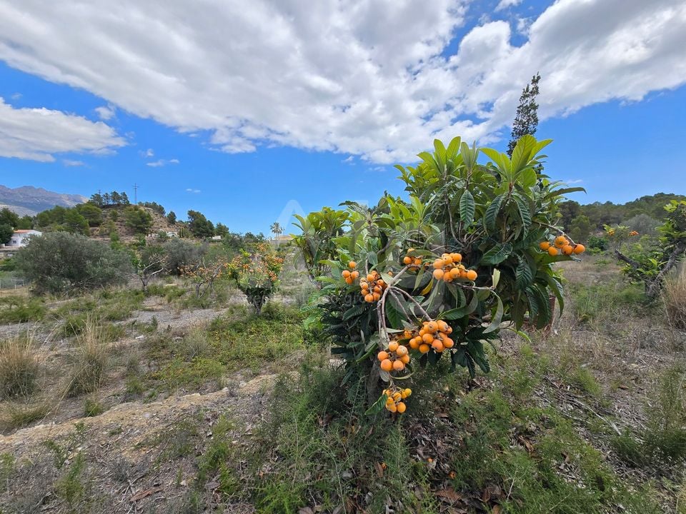  Plot in La Nucia- PX57502 - Photo - 13