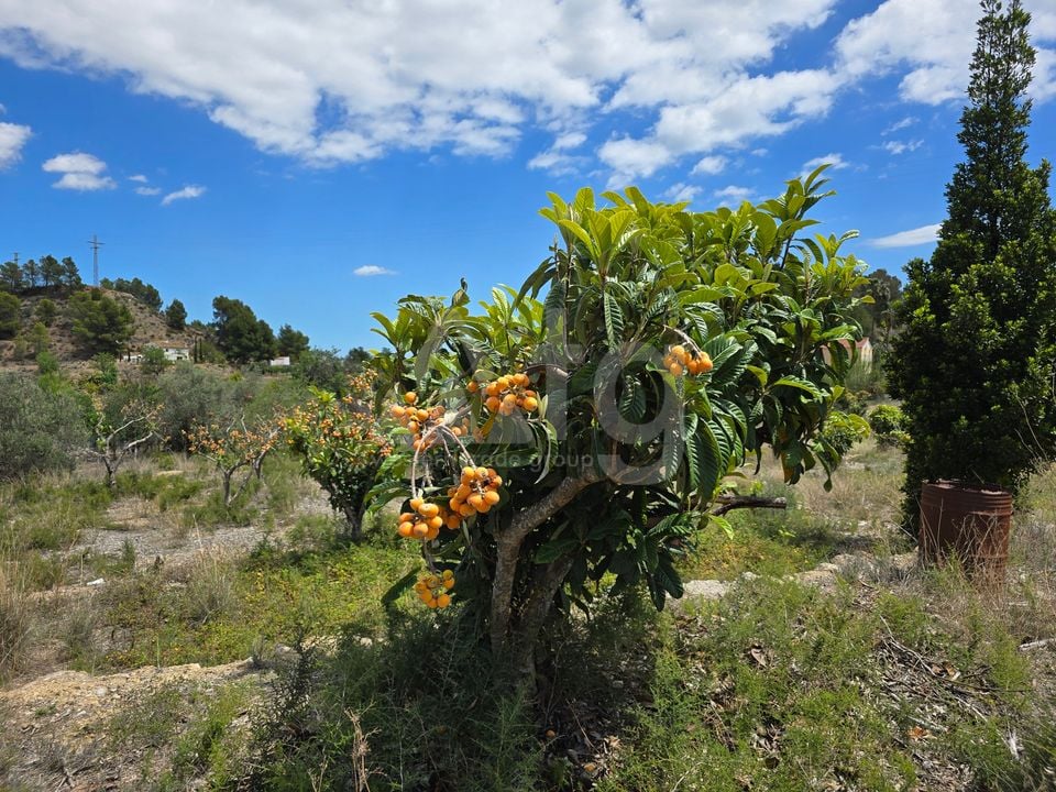  Plot in La Nucia- PX57502 - Photo - 14