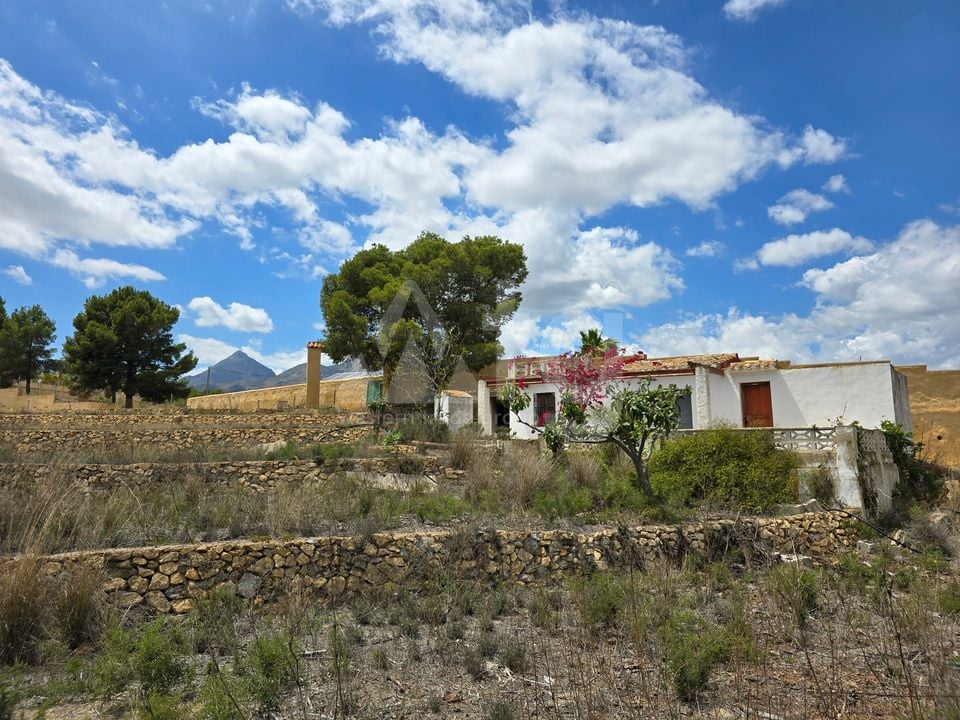  Plot in La Nucia- PX57502 - Photo - 11