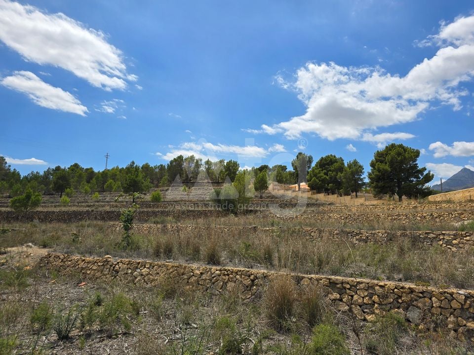  Plot in La Nucia- PX57502 - Photo - 15