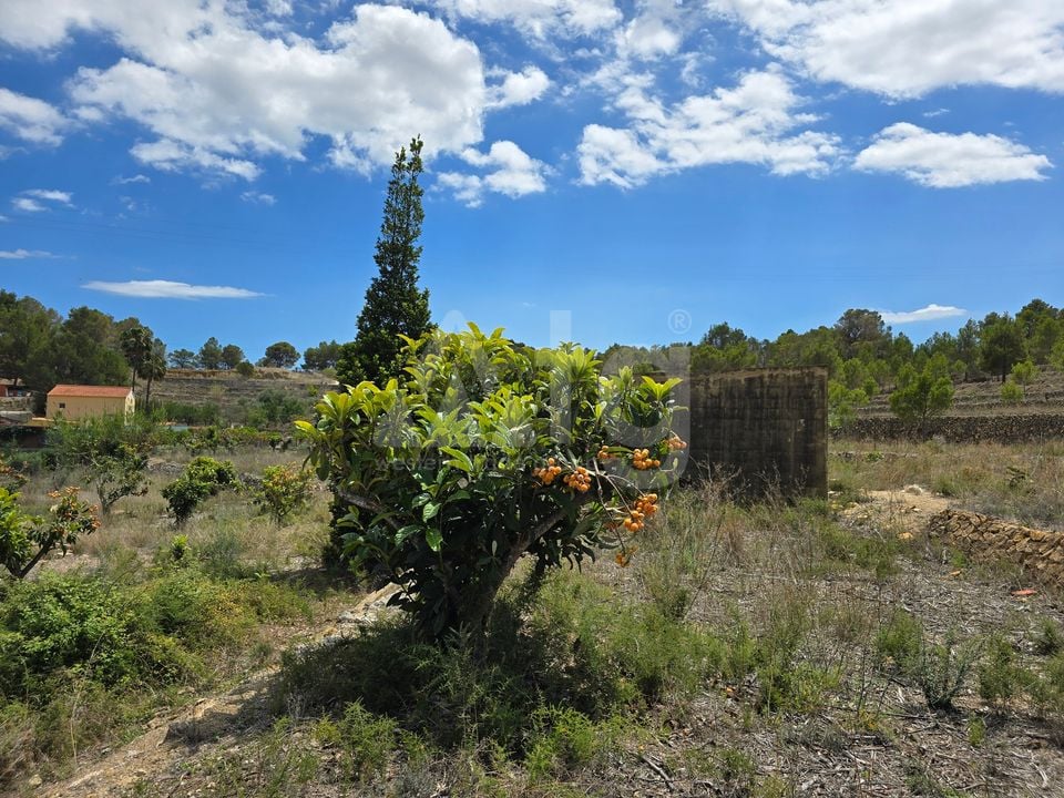  Plot in La Nucia- PX57502 - Photo - 16