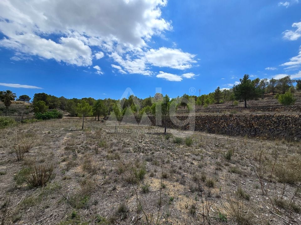  Plot in La Nucia- PX57502 - Photo - 17