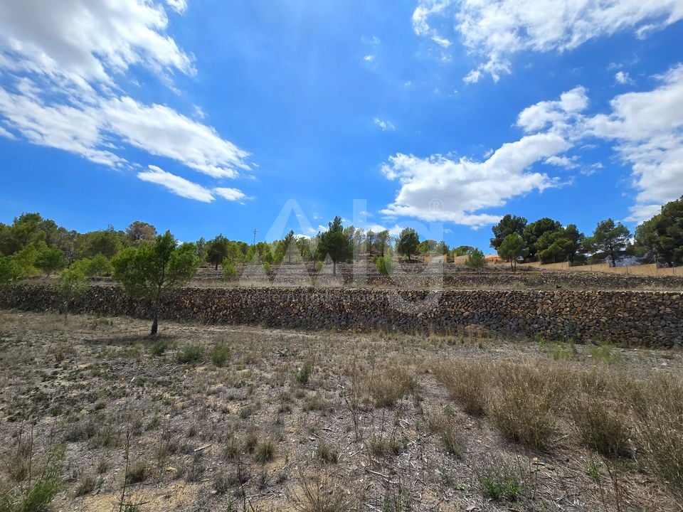  Plot in La Nucia- PX57502 - Photo - 18